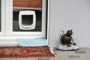 cat flap fitting in glass Bedfordshire